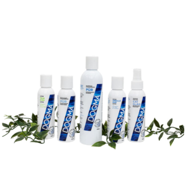 Ensemble pour chats avec shampoing